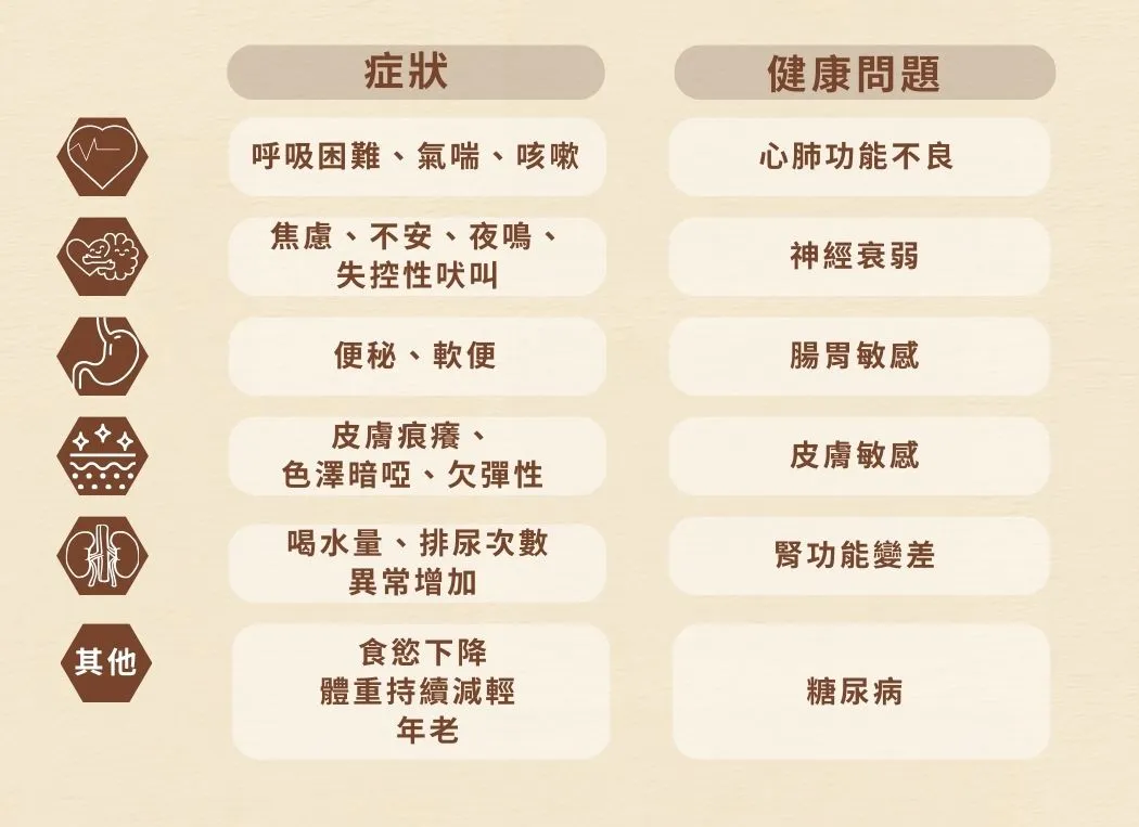 愛寵健 Cosset | 靈芝蟲草犬用肉粒滋味配方 160粒 | BB: 30 Aug 2028