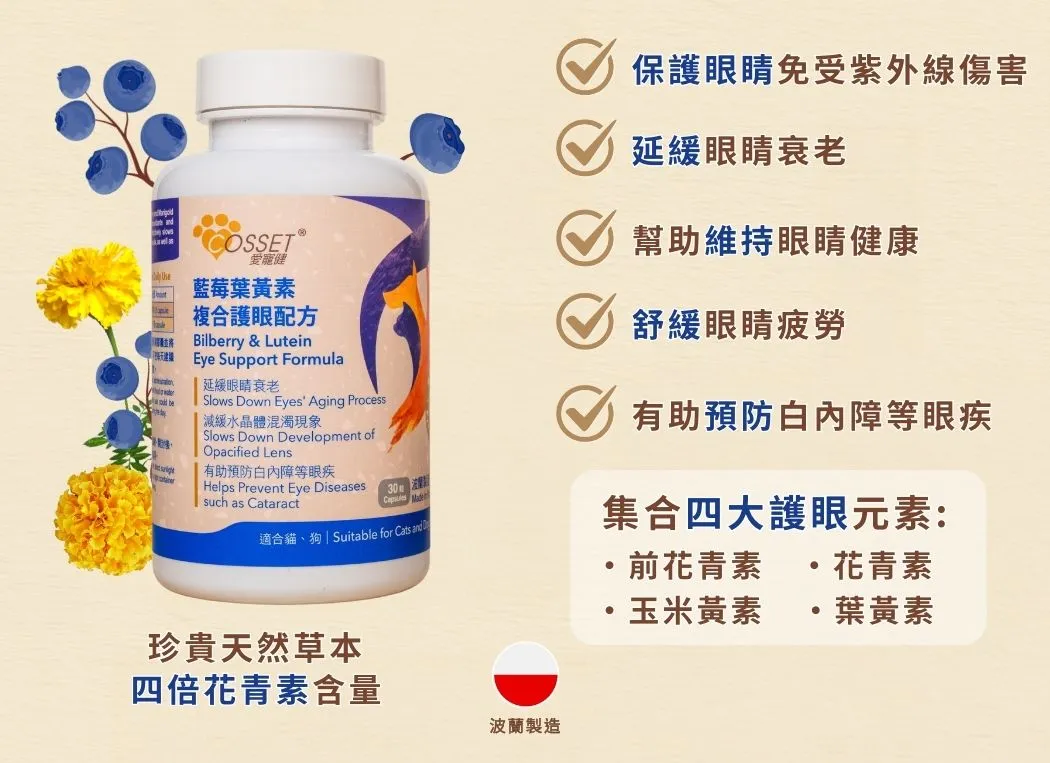 愛寵健 Cosset | 藍莓葉黃素複合護眼配方 30粒 | 貓狗適用 | BB: 26 Sep 2027
