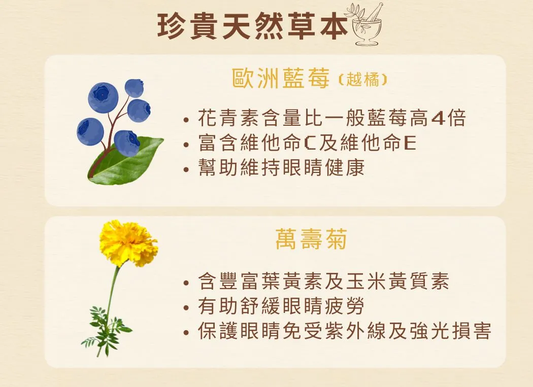 愛寵健 Cosset | 藍莓葉黃素複合護眼配方 30粒 | 貓狗適用 | BB: 26 Sep 2027