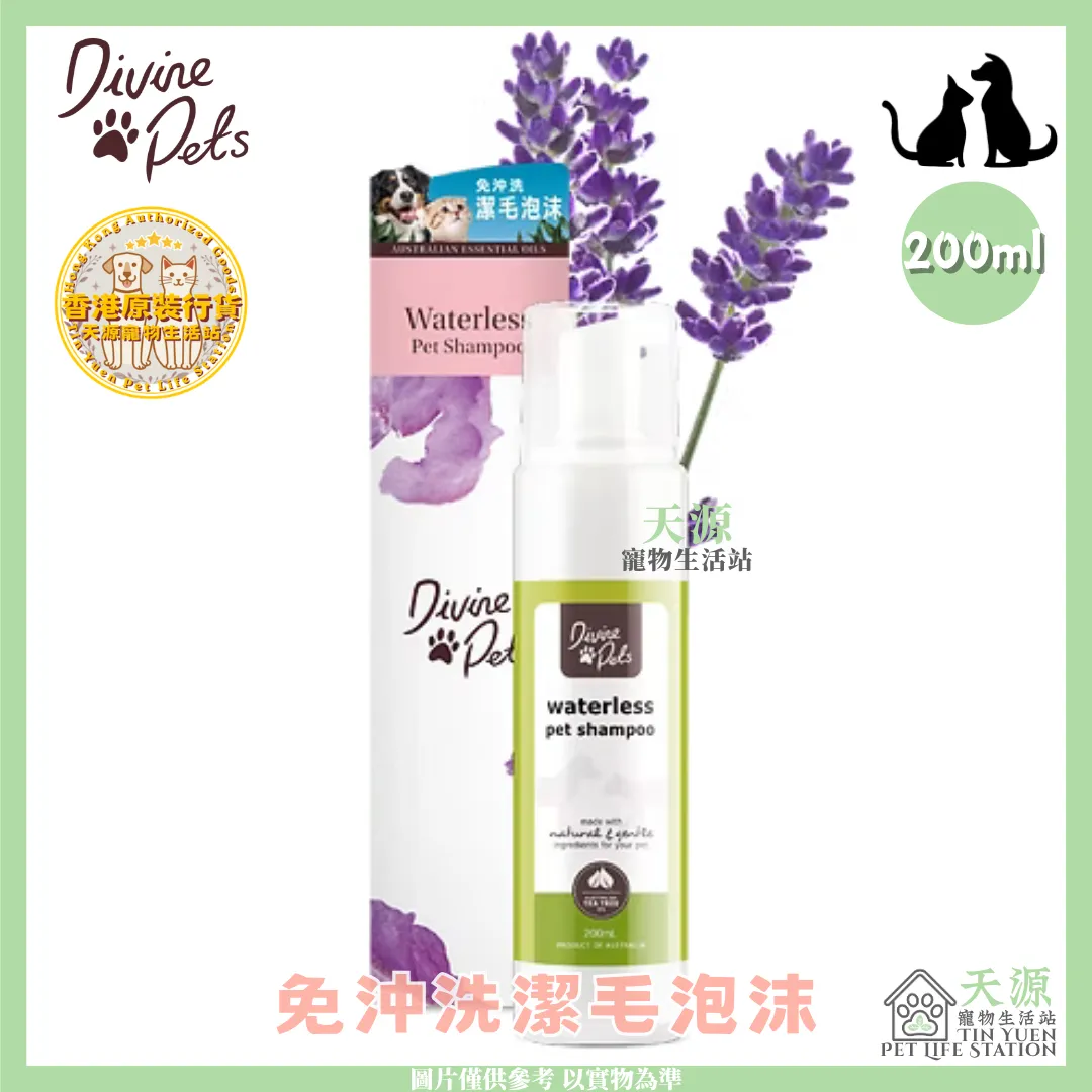 Divine Pets | 免沖洗潔毛泡沫 200ml | BB: Aug 2029