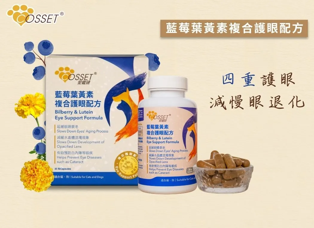 愛寵健 Cosset | 藍莓葉黃素複合護眼配方 30粒 | 貓狗適用 | BB: 26 Sep 2027
