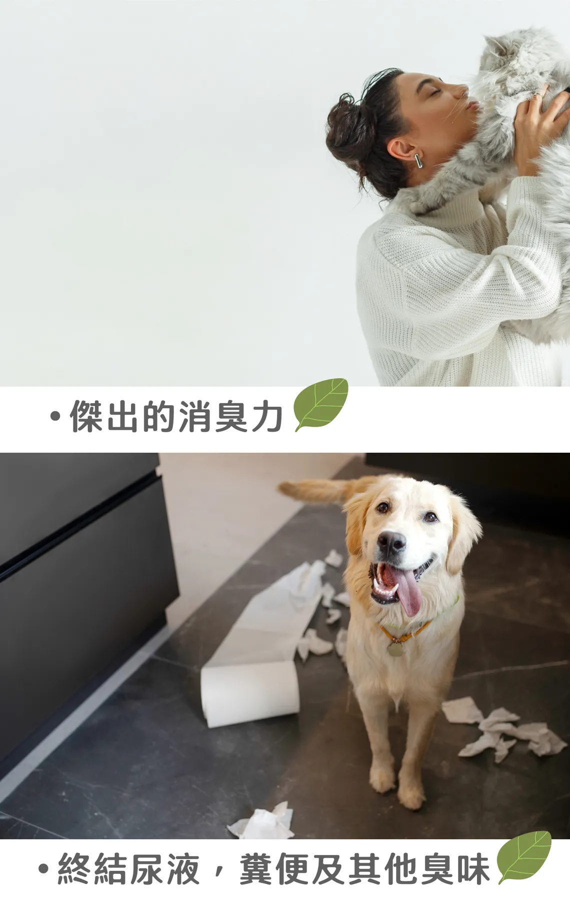 TENDER 天生溫柔 | 地板清潔濃縮液 - 青檸羅勒 1000ml | EXP: 13 Jun 2028