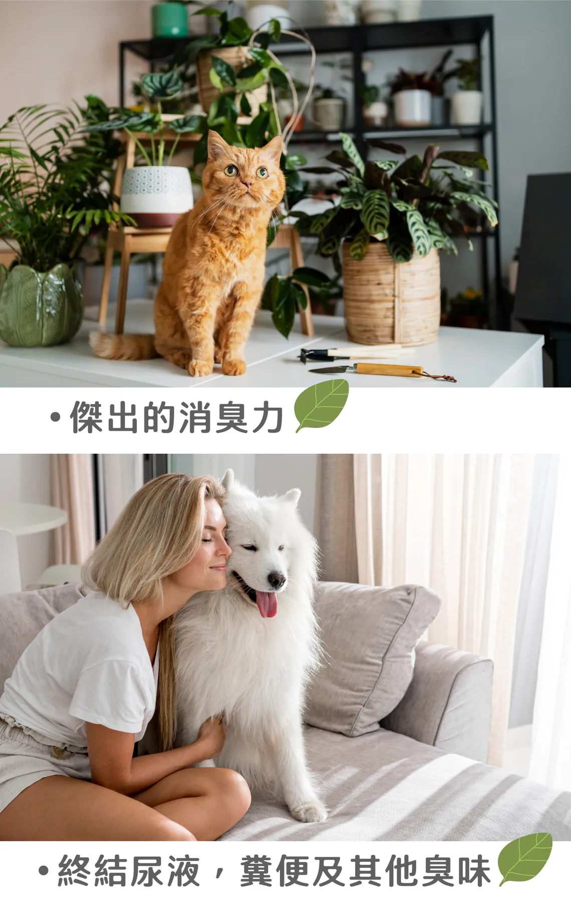 TENDER 天生溫柔 | 居家除臭清潔噴霧 - 青檸羅勒 430ml | EXP: 11 Jun 2028